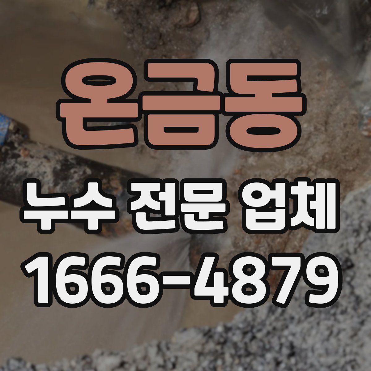 온금동 누수 전문 업체