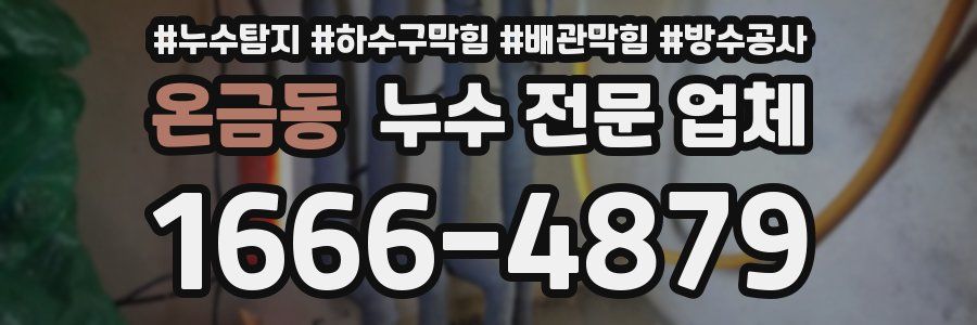 온금동 누수 전문 업체