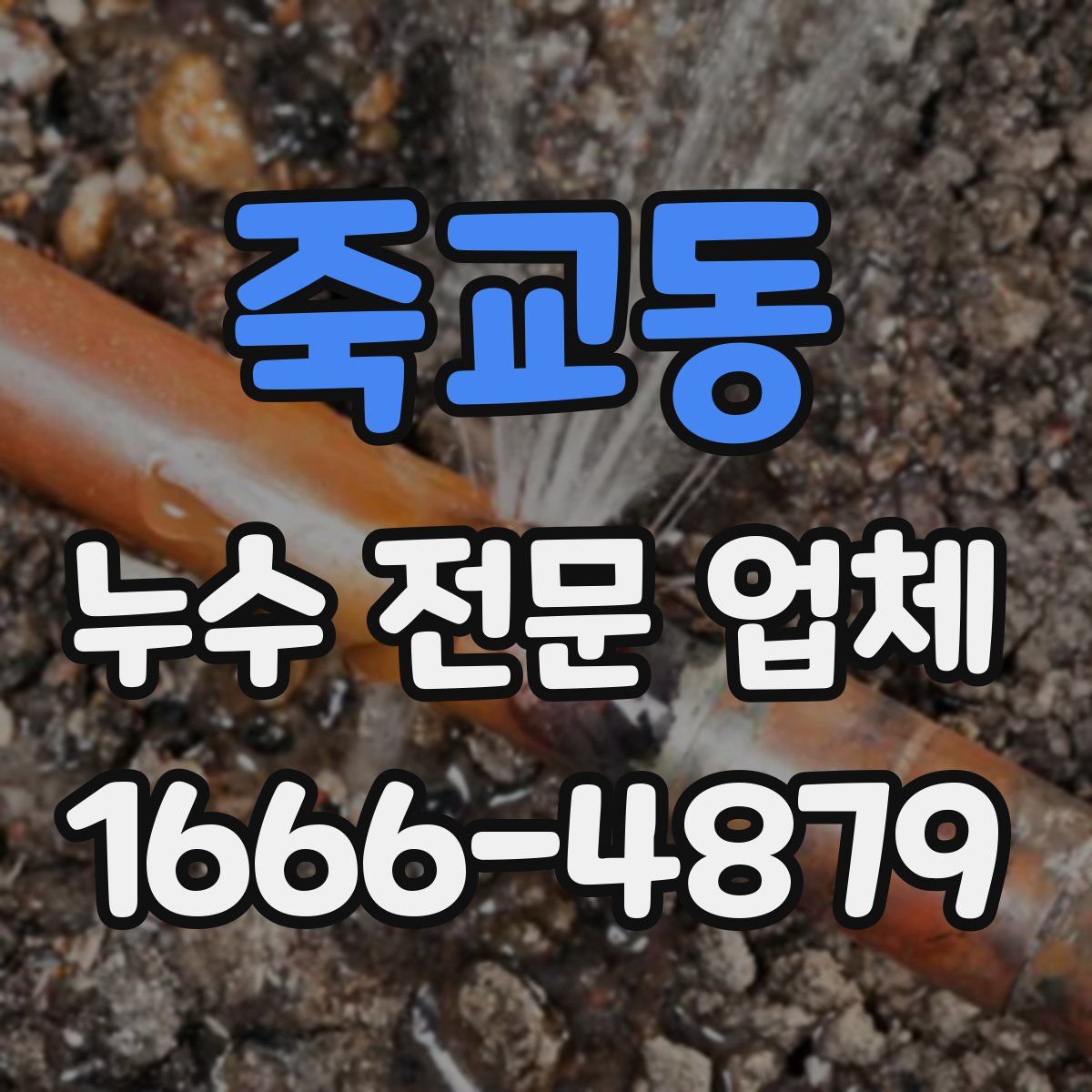 죽교동 누수 전문 업체