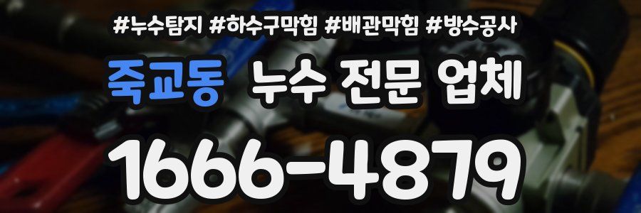 죽교동 누수 전문 업체