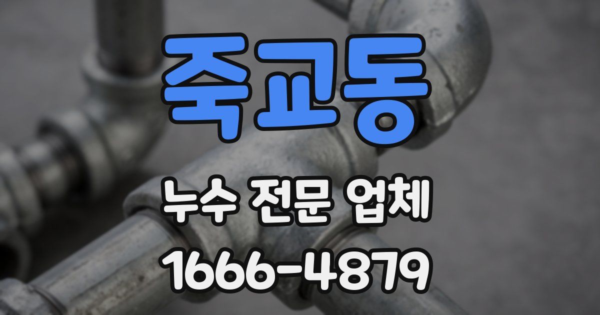 죽교동 누수 전문 업체