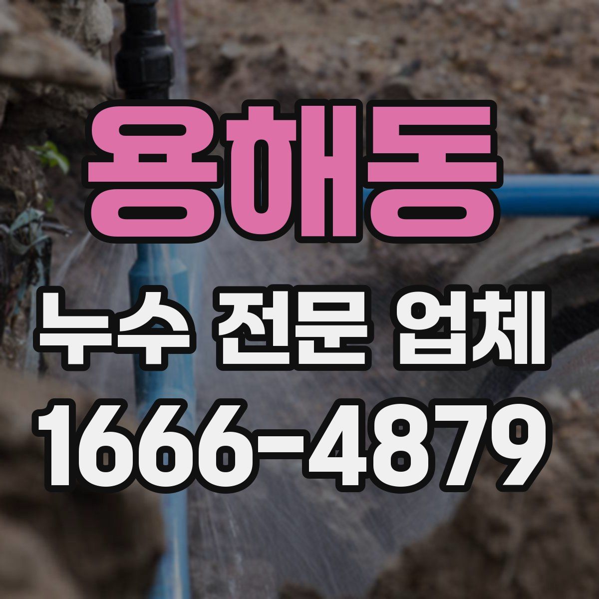 용해동 누수 전문 업체