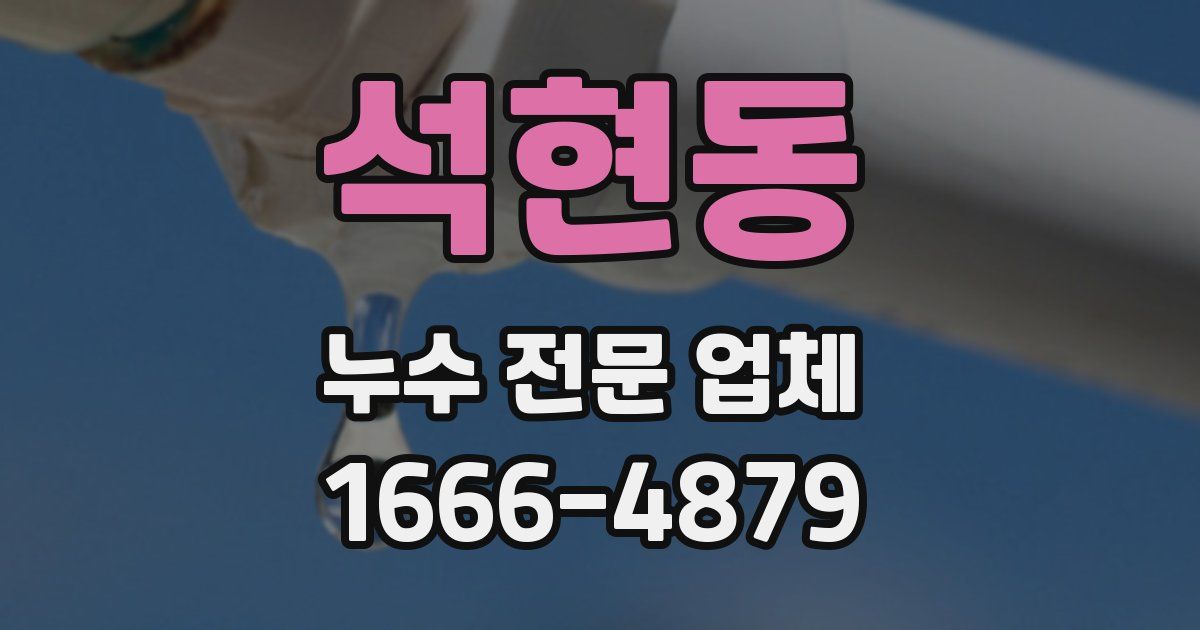 석현동 누수 전문 업체