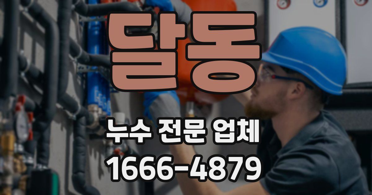 달동 누수 전문 업체