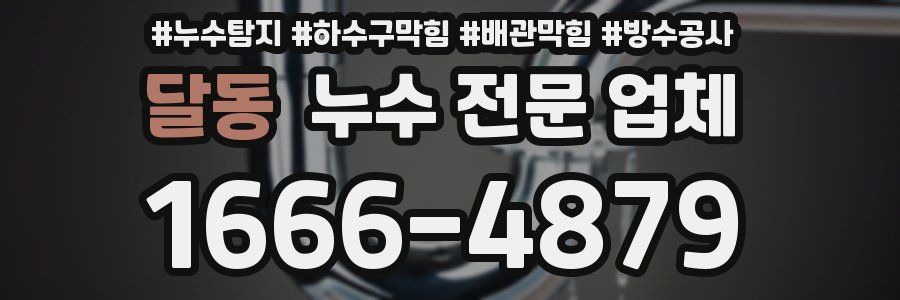 달동 누수 전문 업체