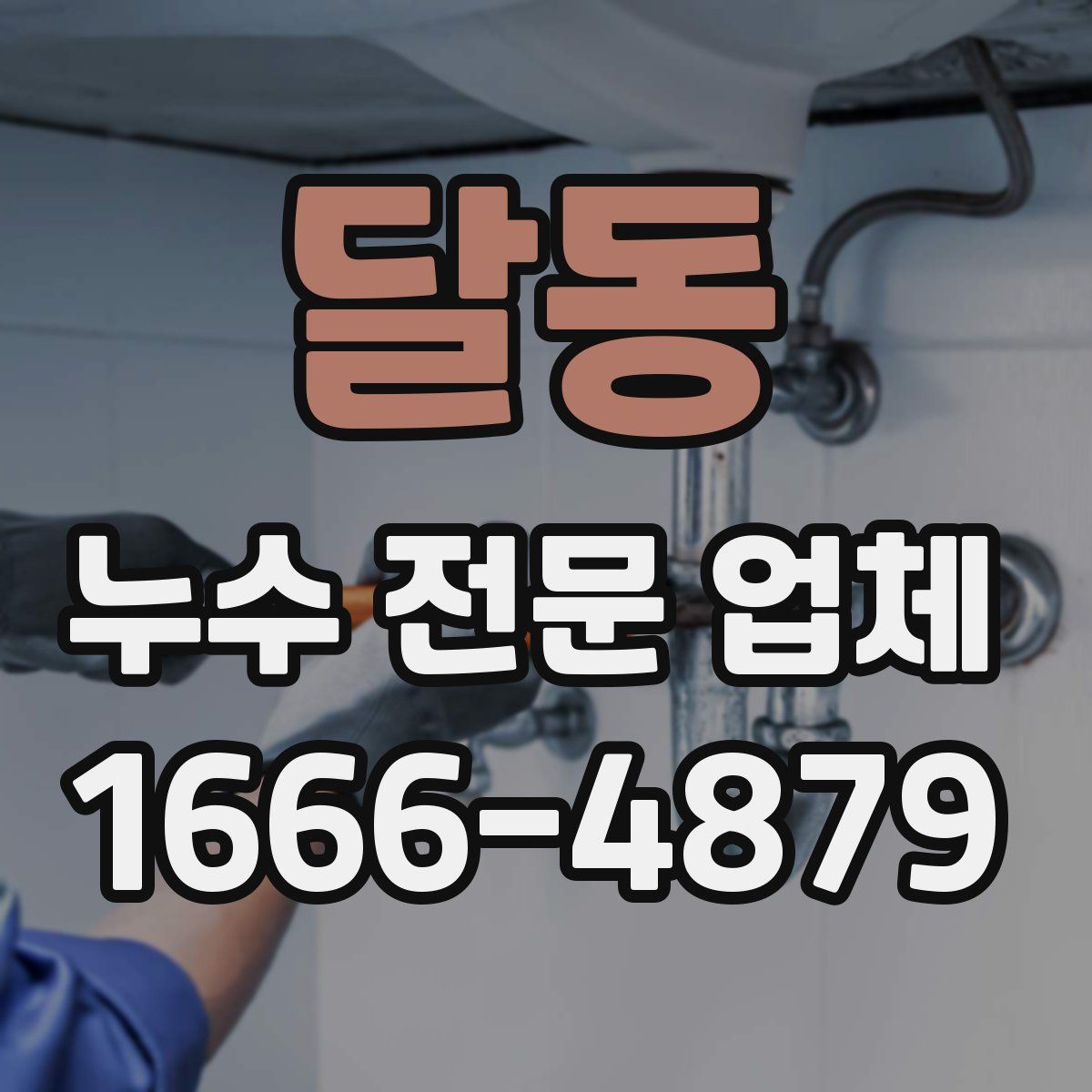 달동 누수 전문 업체
