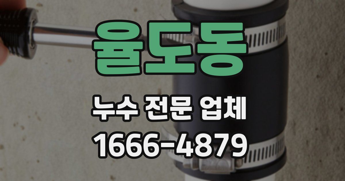 율도동 누수 전문 업체