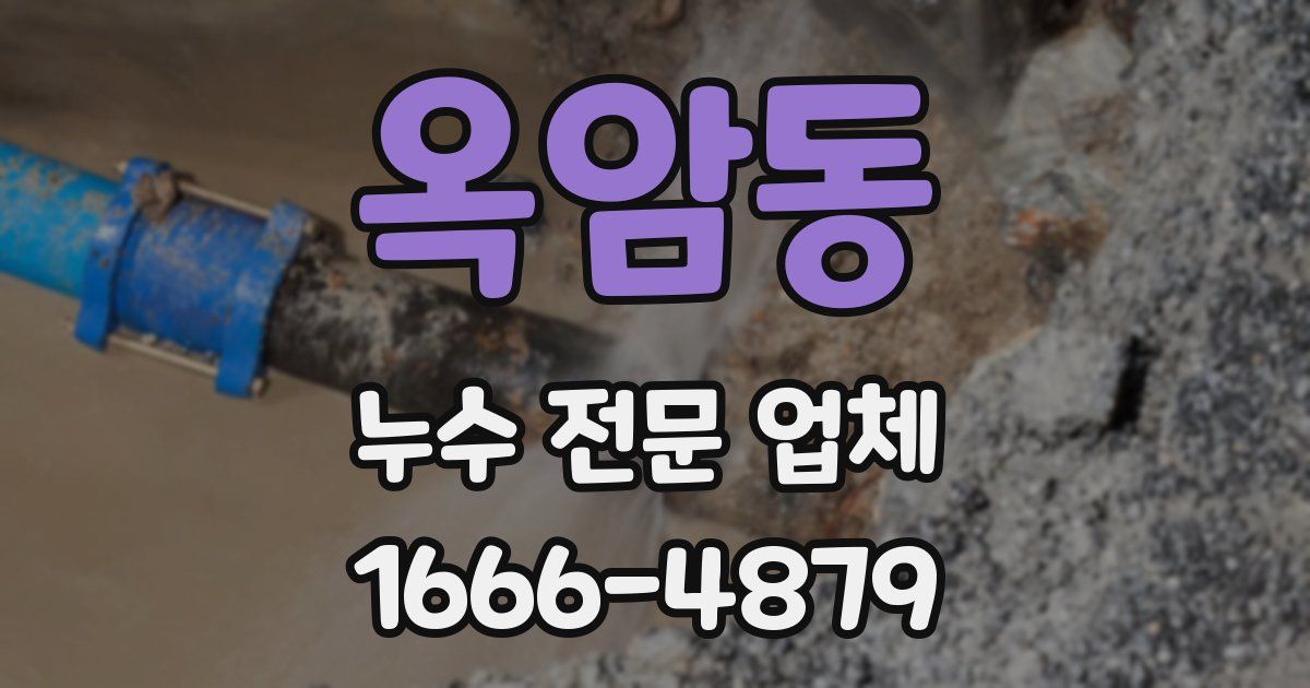옥암동 누수 전문 업체