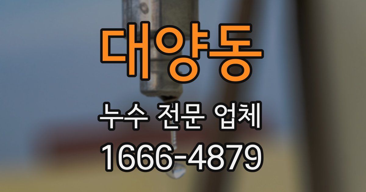 대양동 누수 전문 업체