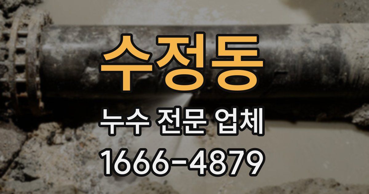 수정동 누수 전문 업체