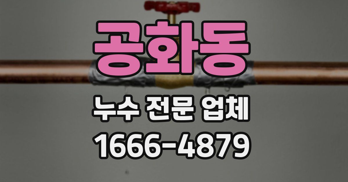 공화동 누수 전문 업체
