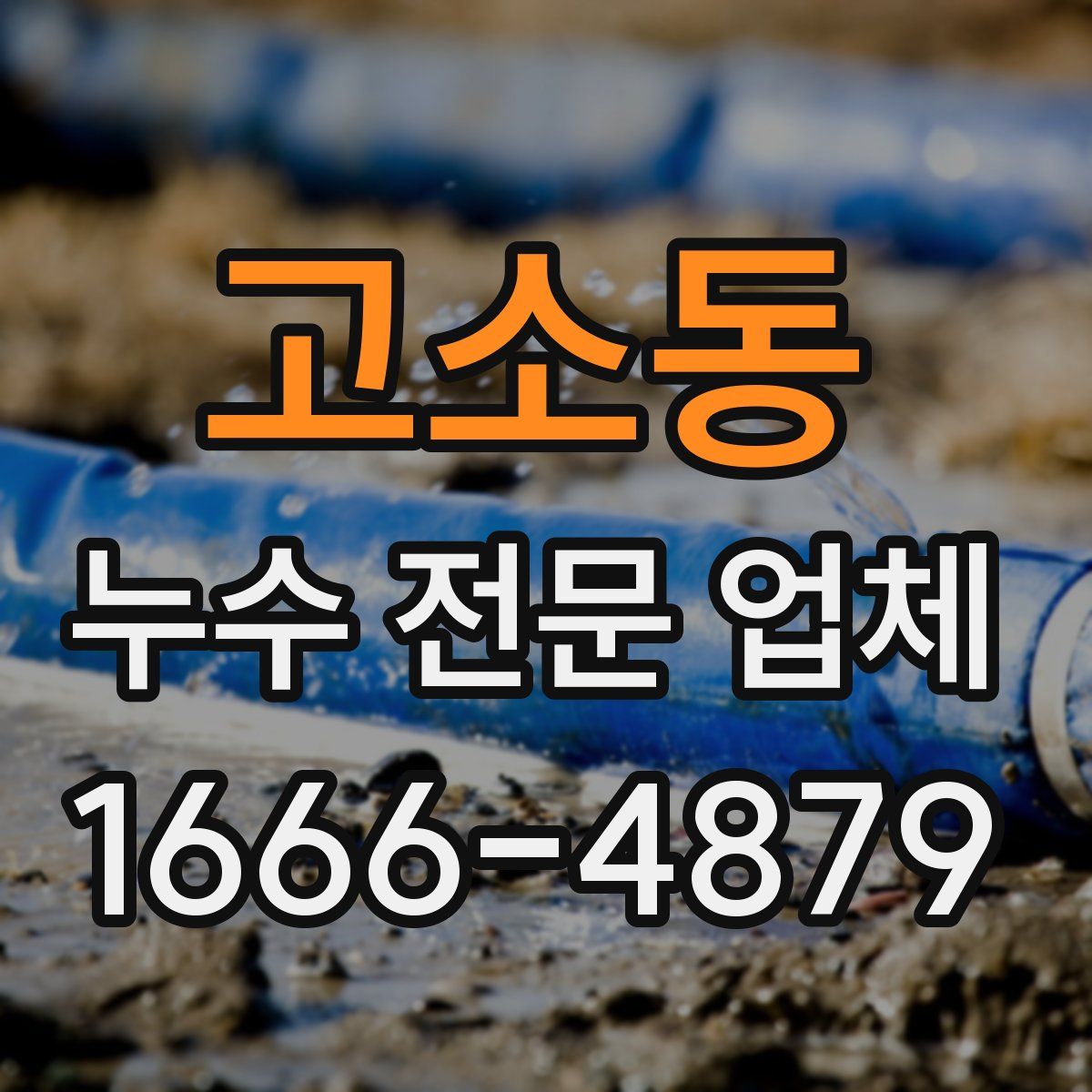 고소동 누수 전문 업체