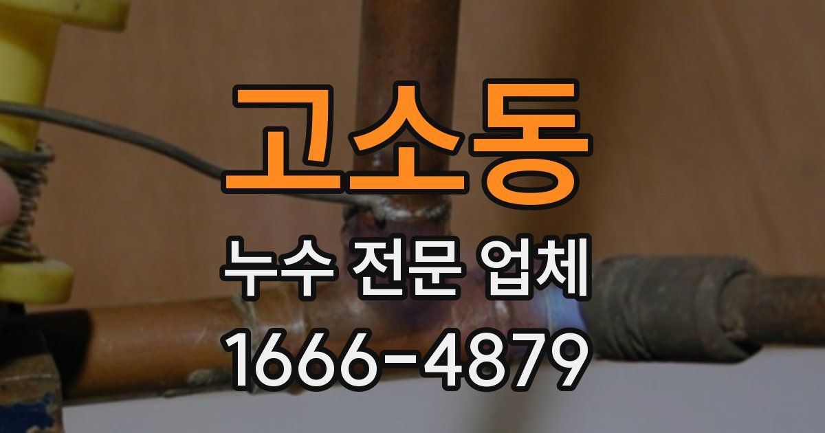 고소동 누수 전문 업체