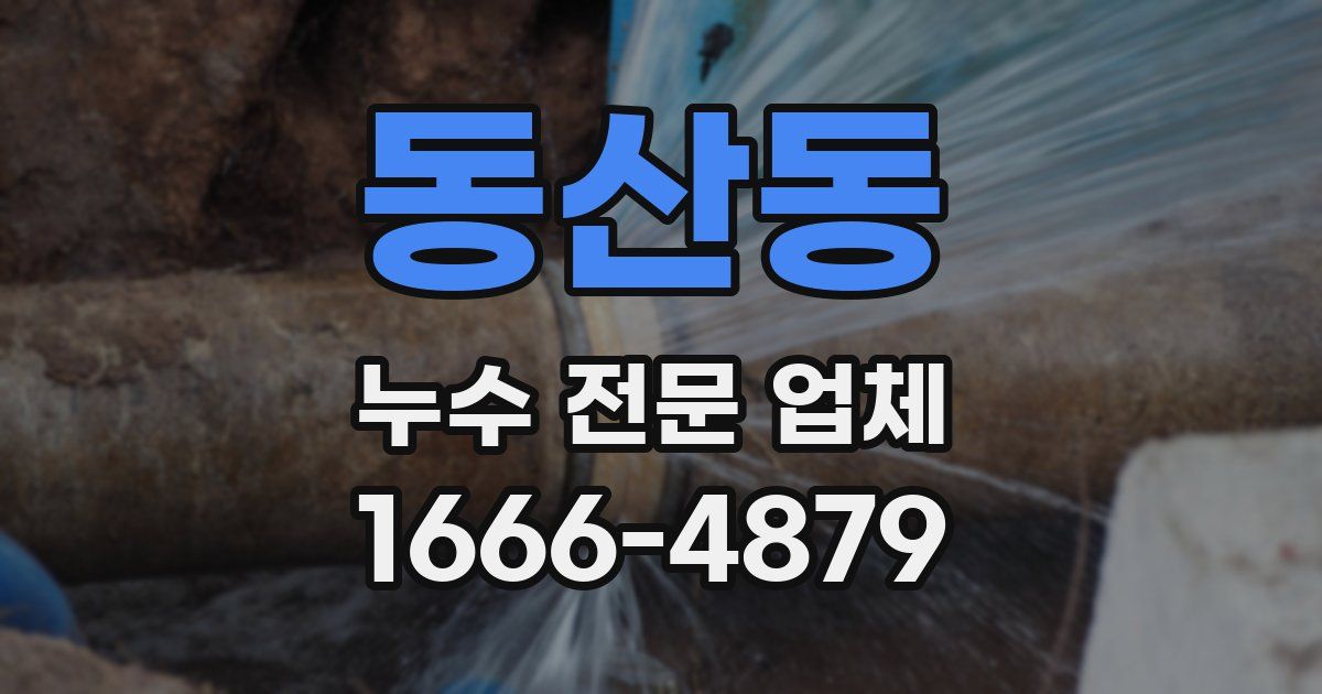 동산동 누수 전문 업체