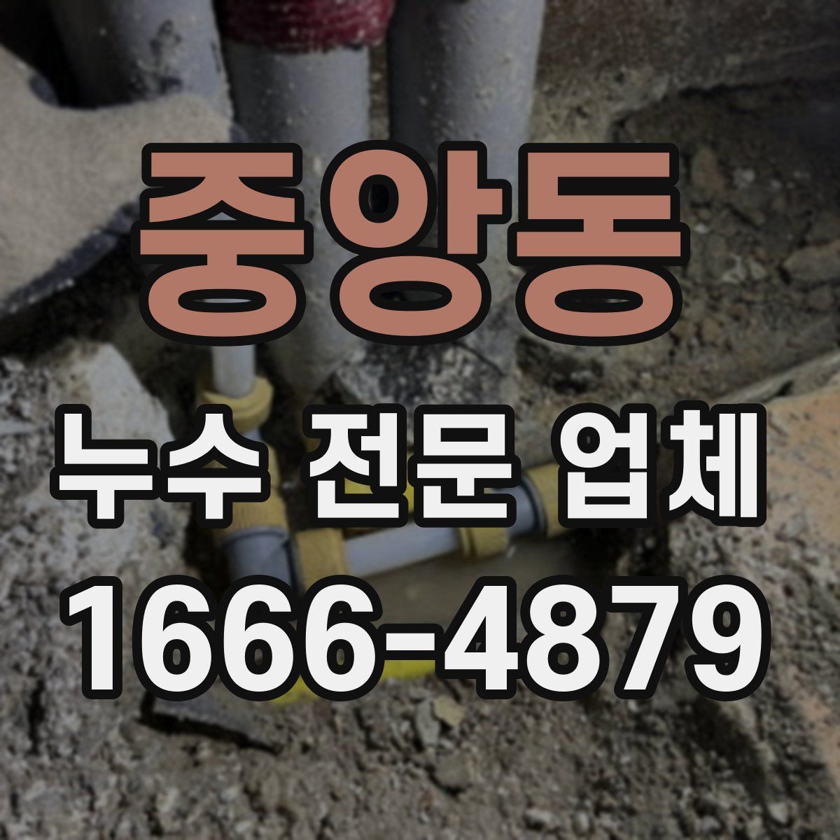중앙동 누수 전문 업체