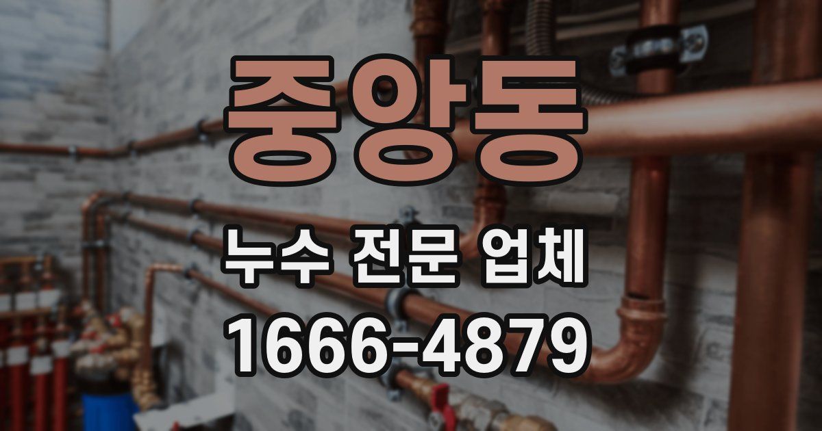 중앙동 누수 전문 업체