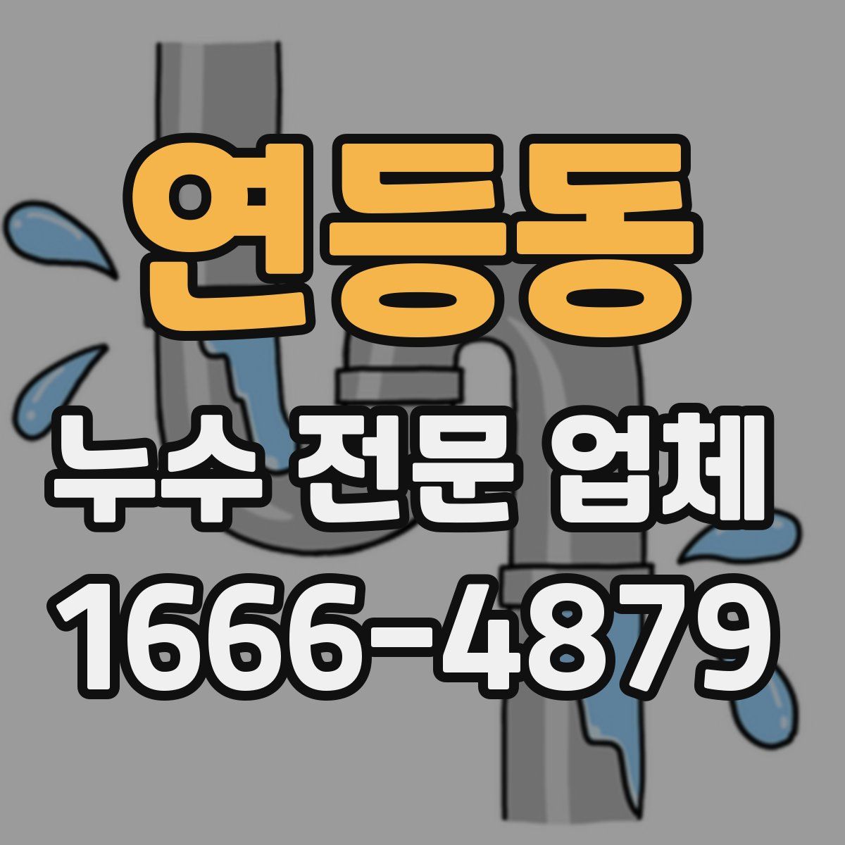 연등동 누수 전문 업체