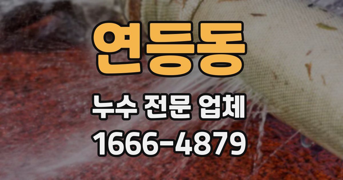 연등동 누수 전문 업체