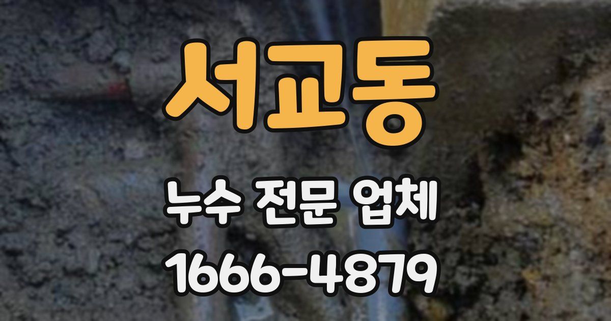 서교동 누수 전문 업체