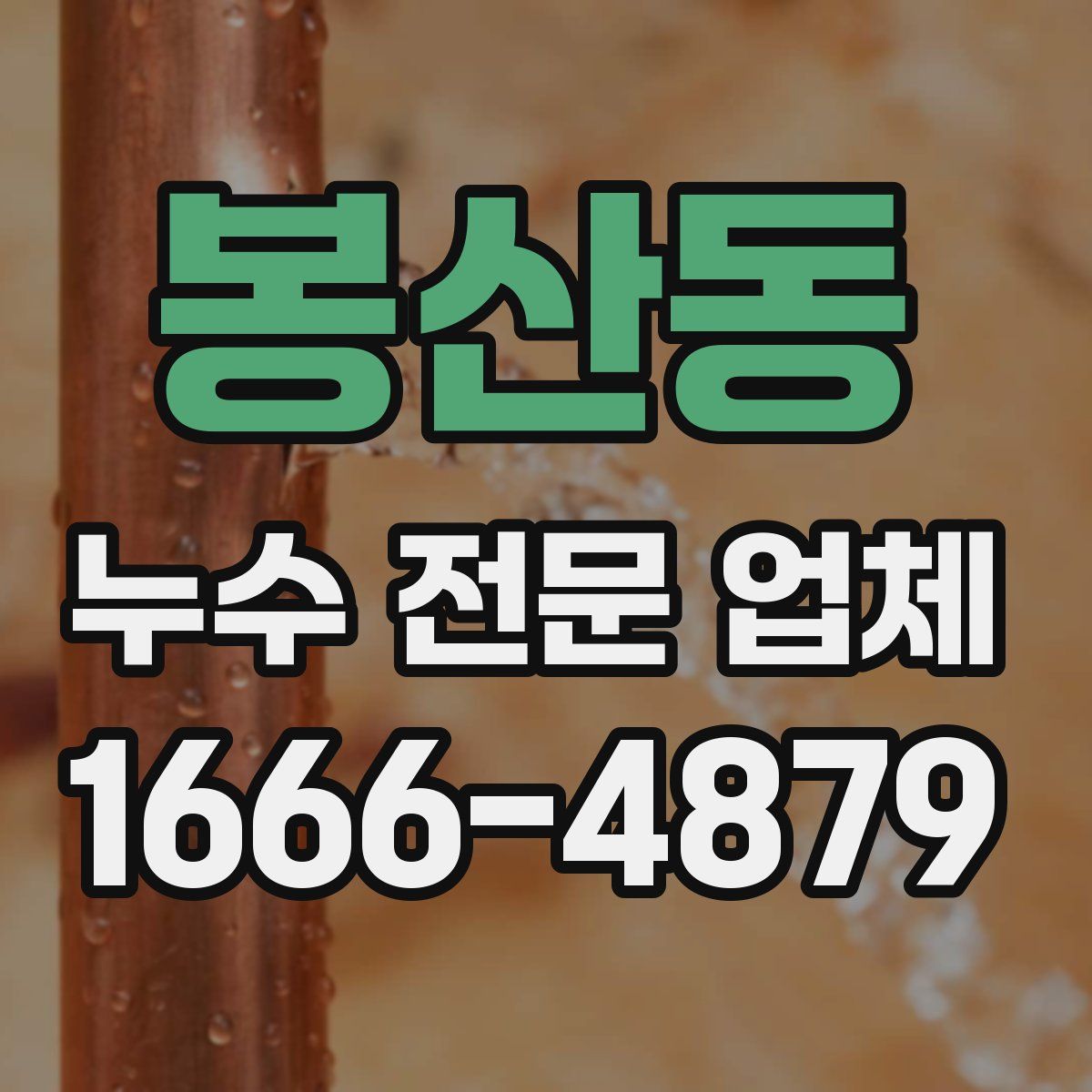 봉산동 누수 전문 업체