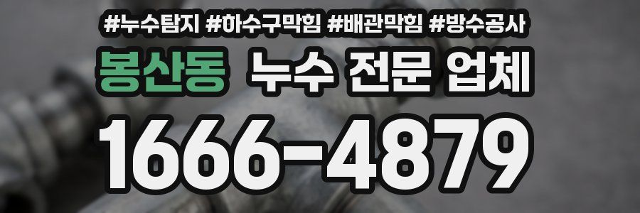 봉산동 누수 전문 업체