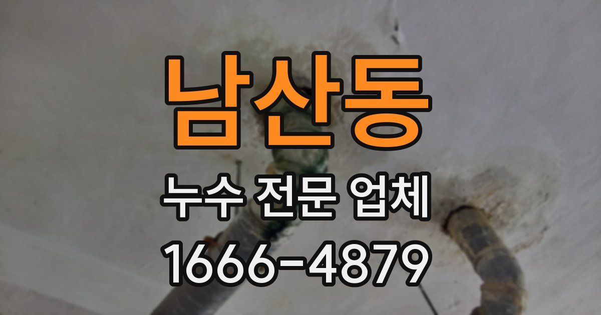 남산동 누수 전문 업체