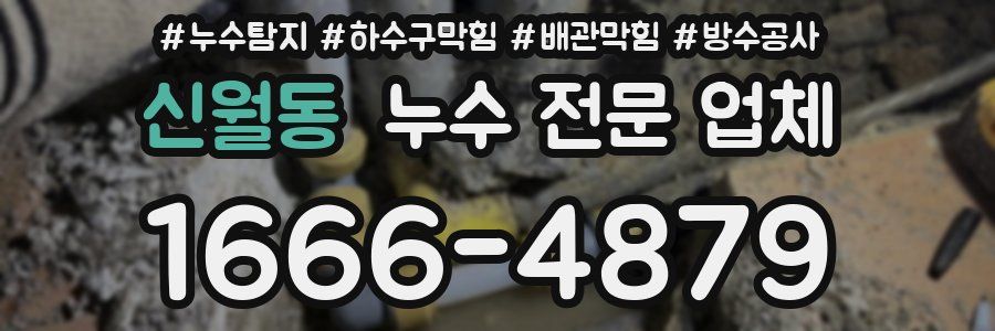 신월동 누수 전문 업체