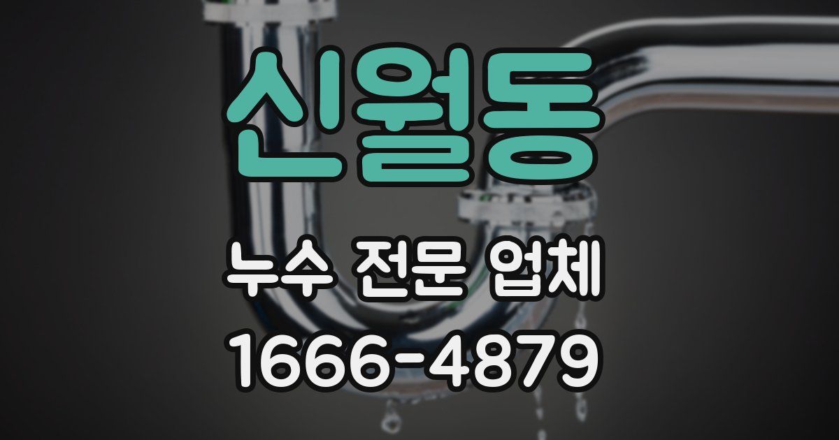 신월동 누수 전문 업체