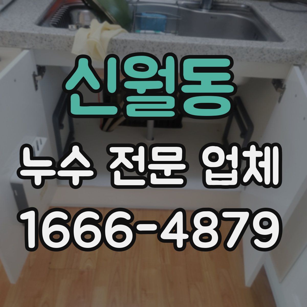신월동 누수 전문 업체