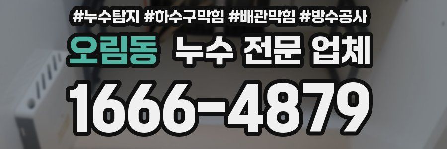 오림동 누수 전문 업체