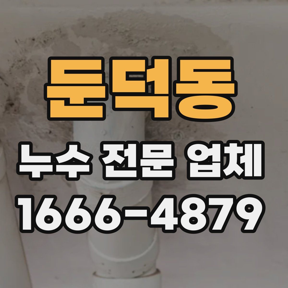 둔덕동 누수 전문 업체