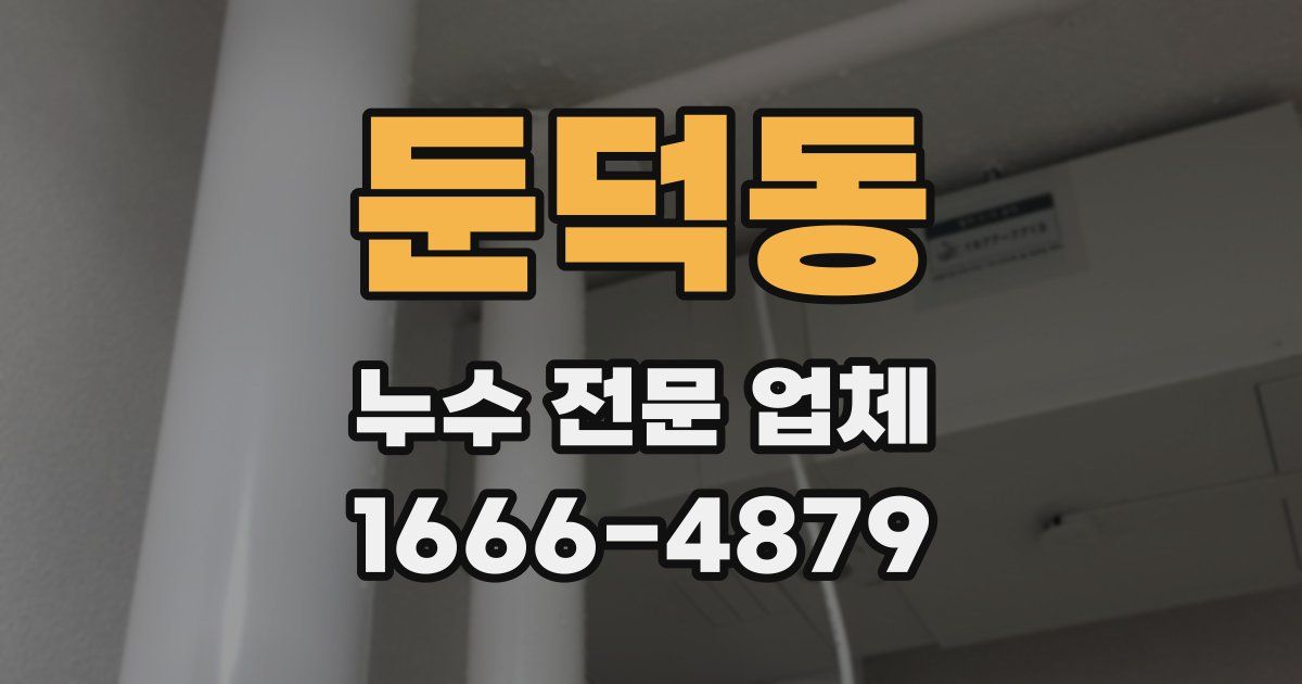 둔덕동 누수 전문 업체