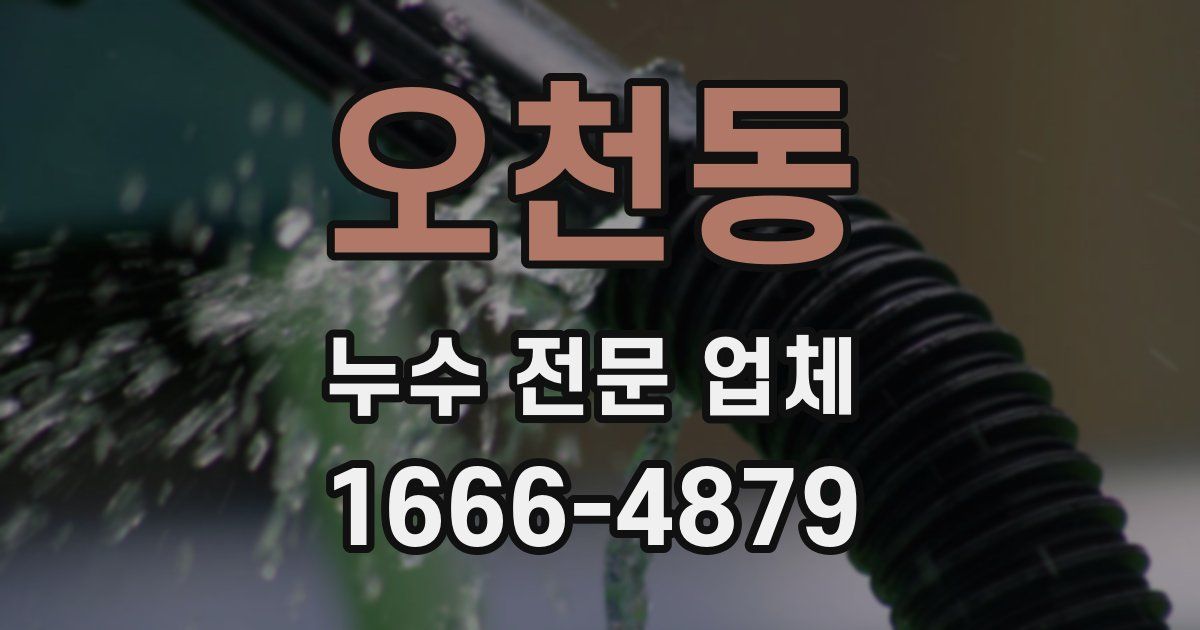 오천동 누수 전문 업체