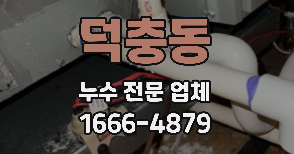 덕충동 누수 전문 업체