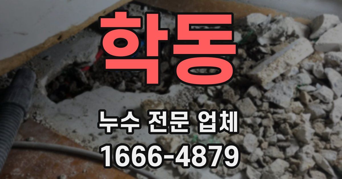 학동 누수 전문 업체