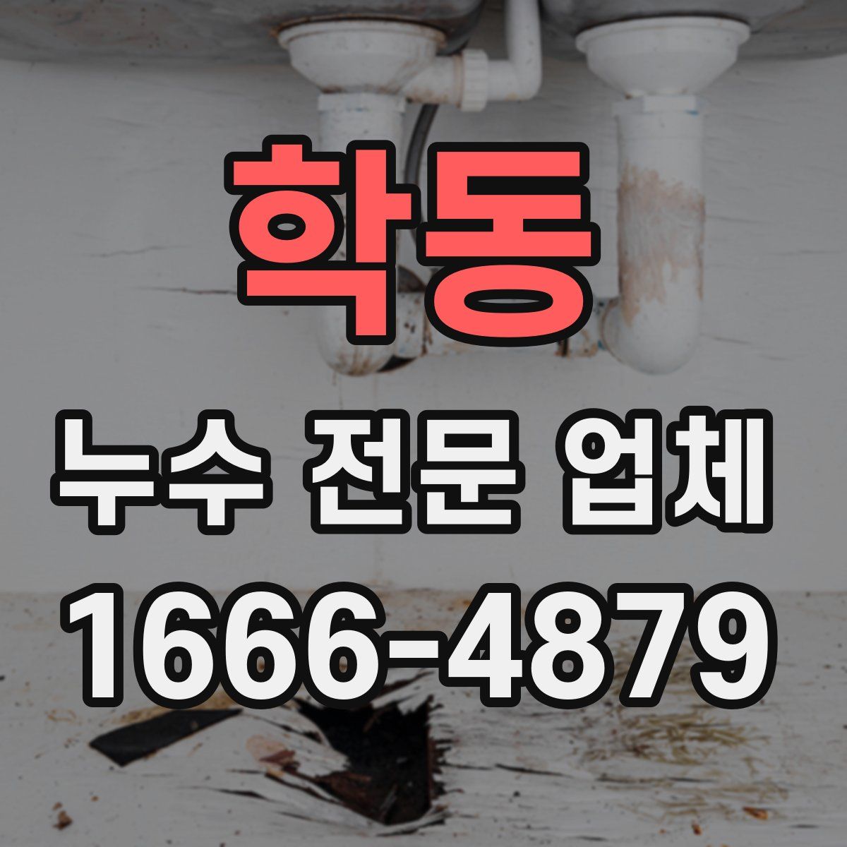 학동 누수 전문 업체