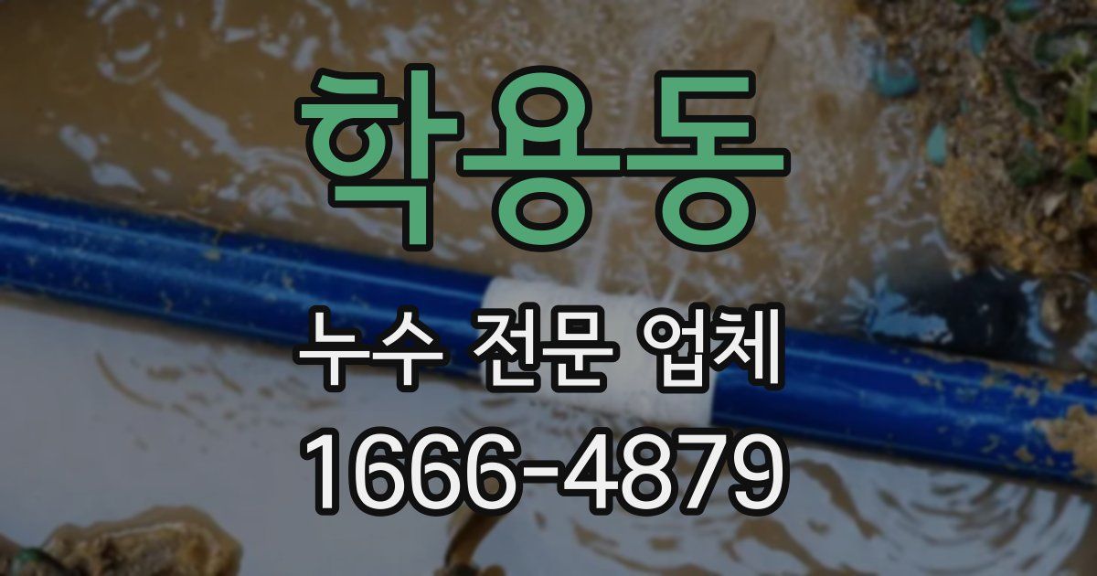 학용동 누수 전문 업체