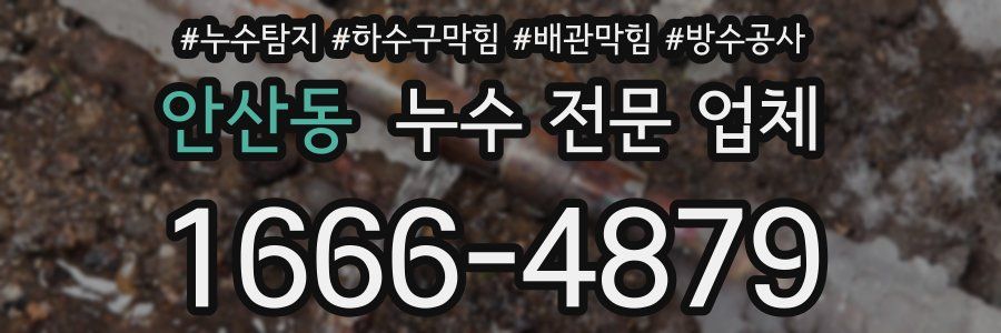 안산동 누수 전문 업체