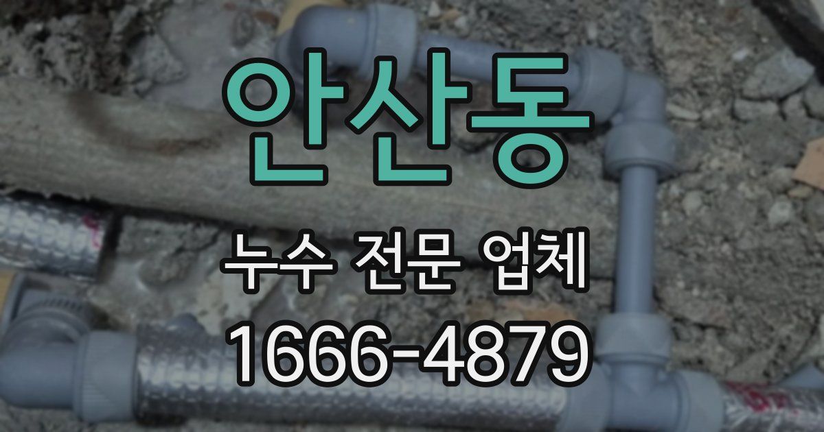안산동 누수 전문 업체