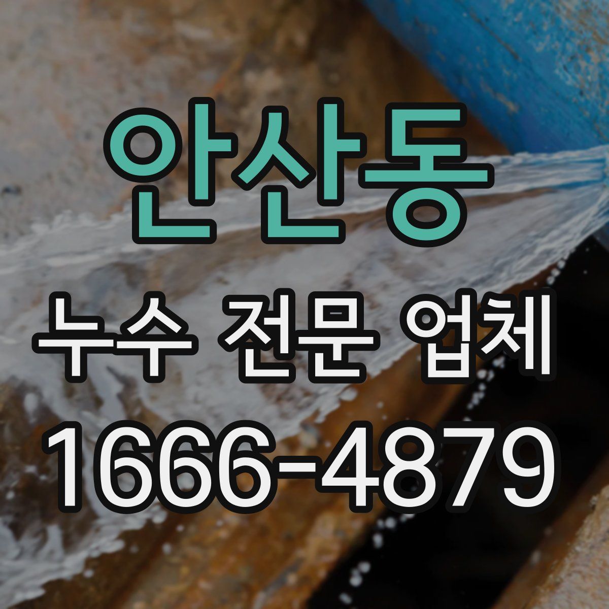 안산동 누수 전문 업체