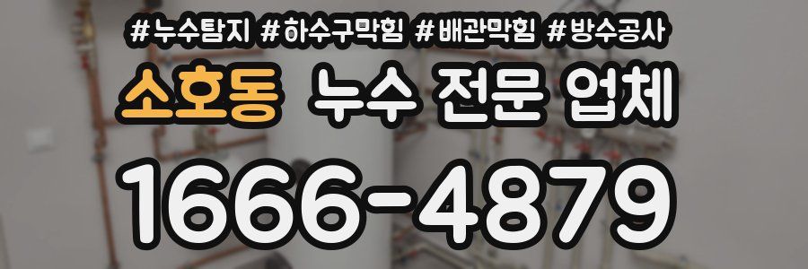 소호동 누수 전문 업체