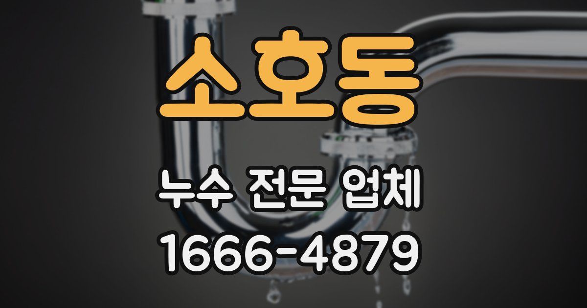 소호동 누수 전문 업체