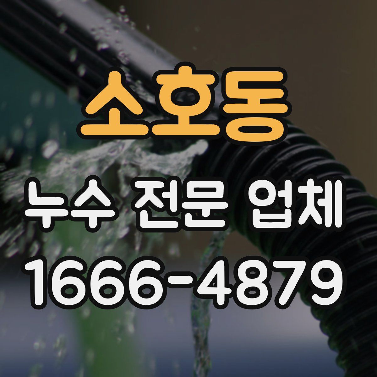 소호동 누수 전문 업체