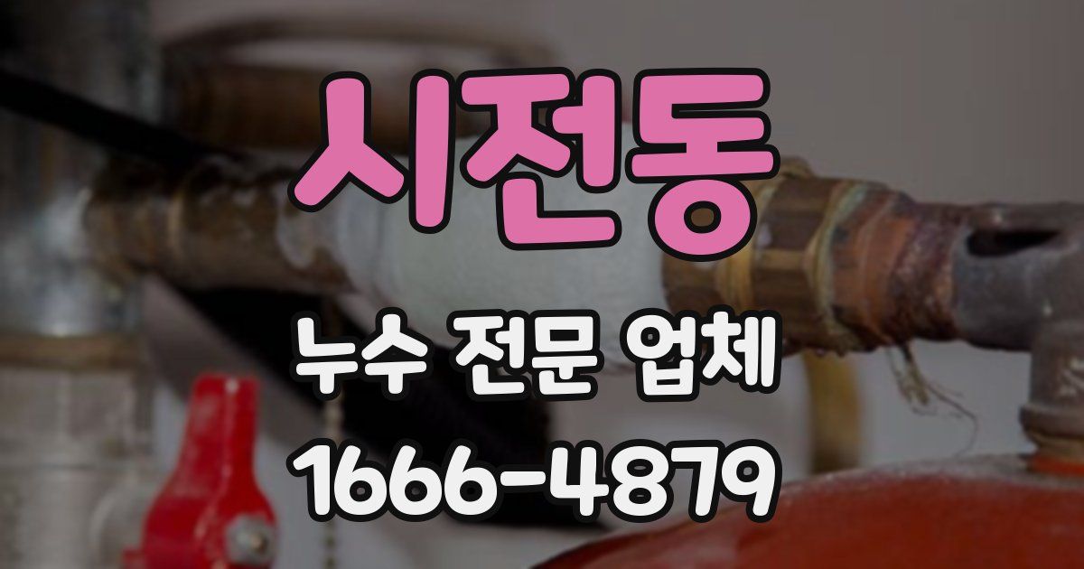 시전동 누수 전문 업체