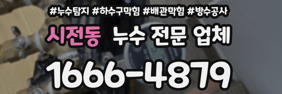 시전동 누수 전문 업체