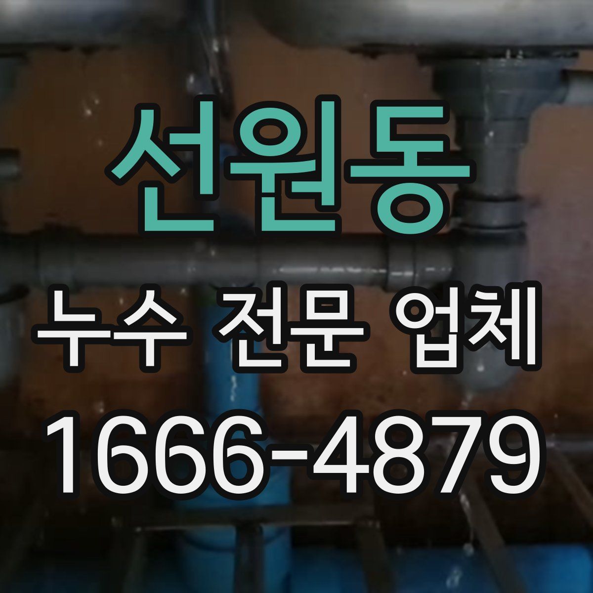 선원동 누수 전문 업체