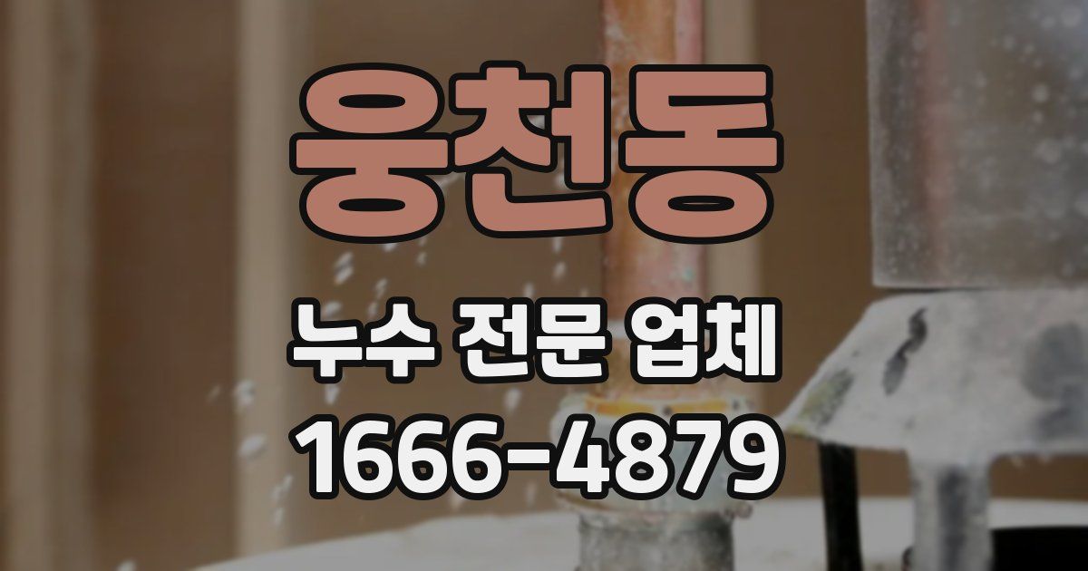웅천동 누수 전문 업체