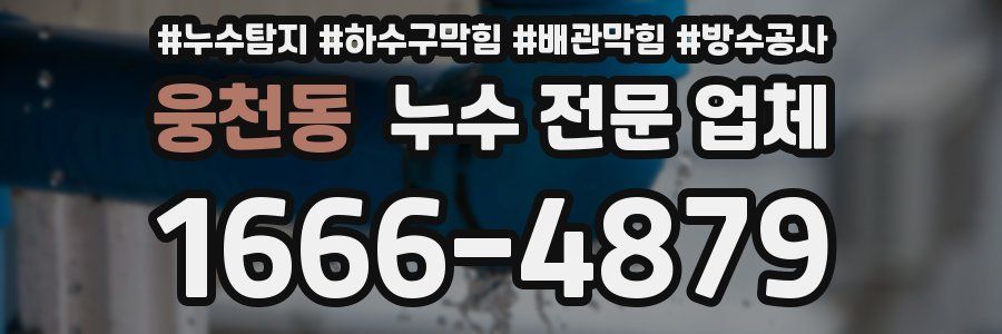웅천동 누수 전문 업체