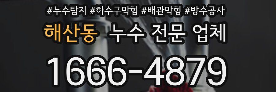 해산동 누수 전문 업체
