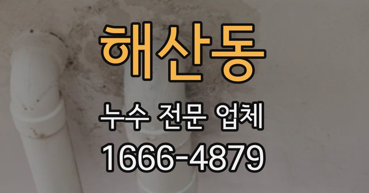 해산동 누수 전문 업체